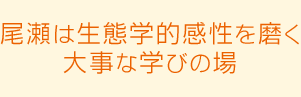 尾瀬は生態学的感性を磨く大事な学びの場