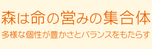 森は命の営みの集合体～多様な個性が豊かさとバランスをもたらす～